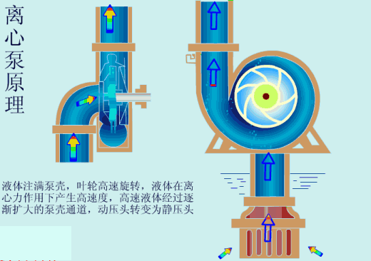 【科普贴】泵启动时, 究竟要不要关闭出口阀?谜底竟然是......-恒行3