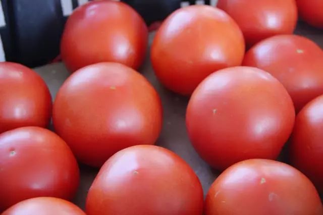 关爱员工生涯 提升食堂治理-恒行3